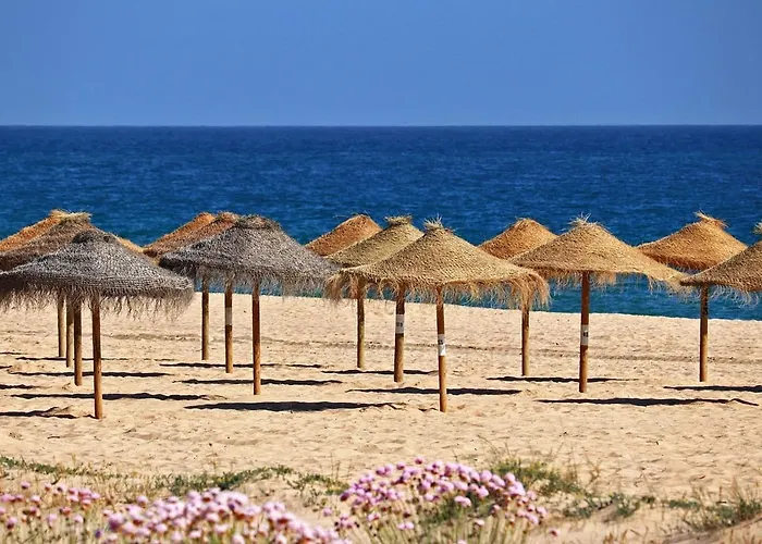 - Terrasse - Vue アパート *